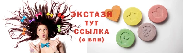ECSTASY Лагань
