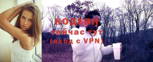 индика Лихославль