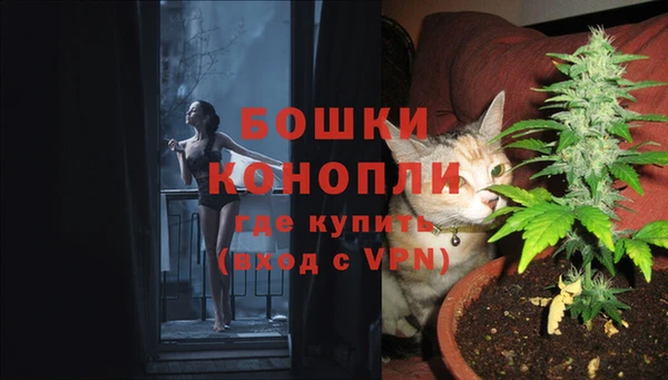 ешки Лиски