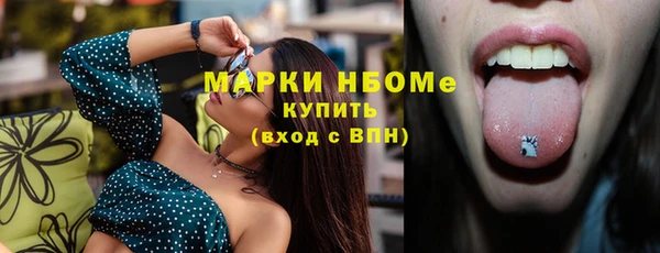 индика Лихославль