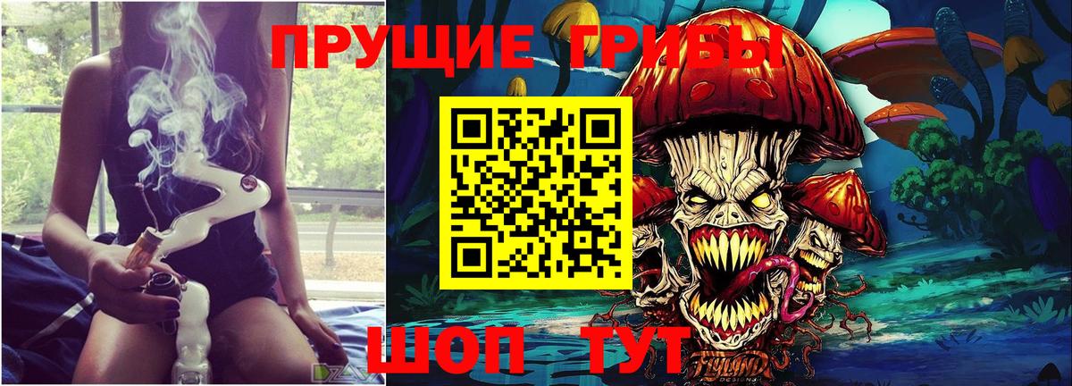 Псилоцибиновые грибы мицелий Лесосибирск
