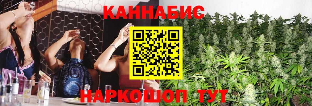 Канабис OG Kush Лесосибирск